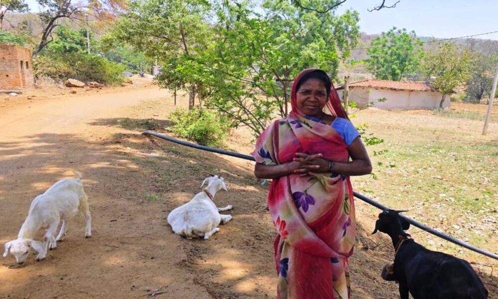 1776513071 cf6694d6a140ae9d90d8 1