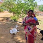 1776513071 cf6694d6a140ae9d90d8 1