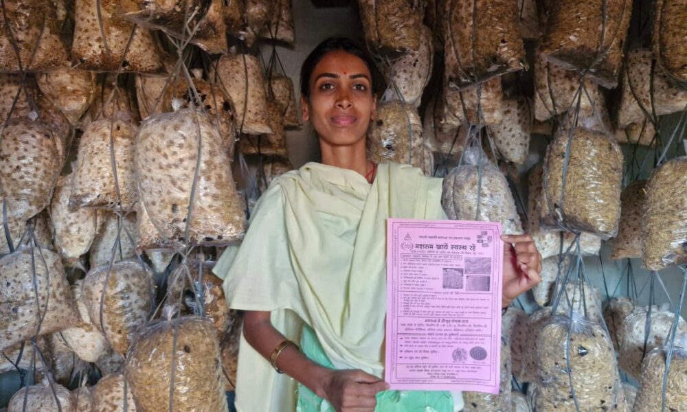 1776789573 752dae87fb8040101224 1