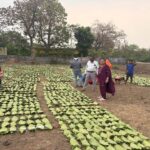 1776845235 05f785234fa39b2b344e