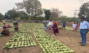 1776845235 05f785234fa39b2b344e