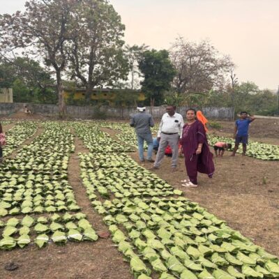 1776845235 05f785234fa39b2b344e