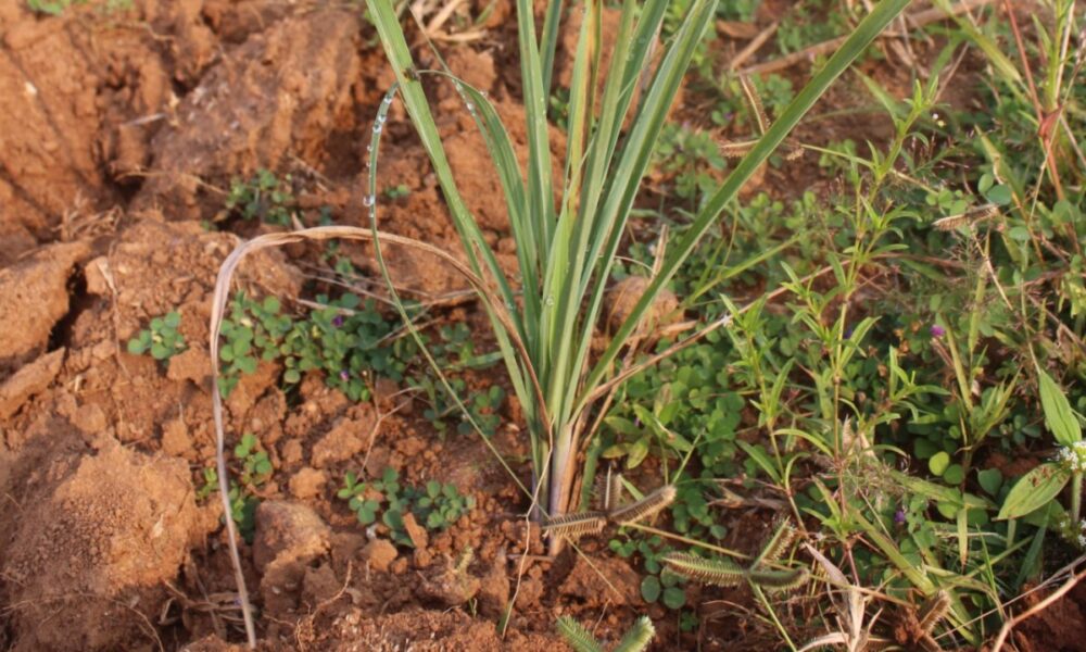 1776848873 b50642be5f2dd8e91c4a