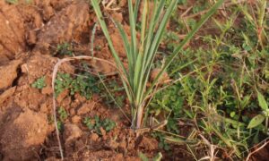 1776848873 b50642be5f2dd8e91c4a