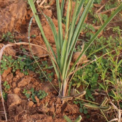 1776848873 b50642be5f2dd8e91c4a