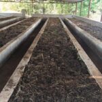 1776849222 80052718c664c30b2335