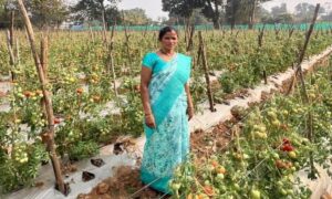 1776859656 b1d3c8e39126d9c2e39b