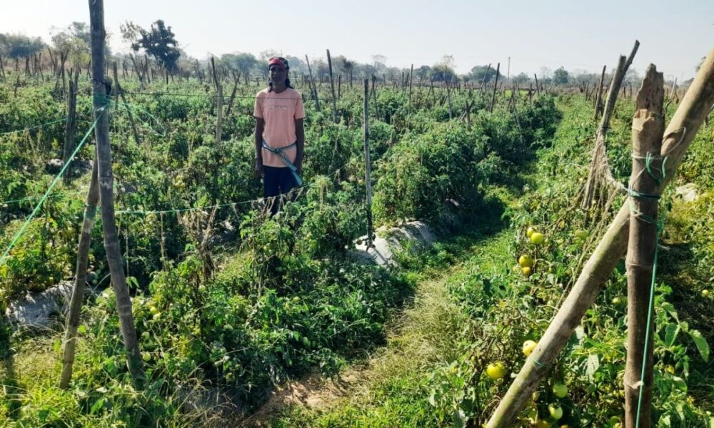 1777115334 999bc7fac117c51124ef 1