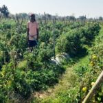 1777115334 999bc7fac117c51124ef 1