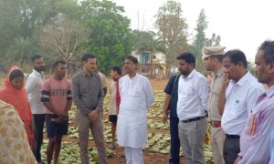 1777213258 7650faa35c12d355c667