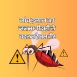 Red White Illustration Malaria Presentation