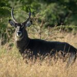 Screenshot 2026 04 08 145658 1