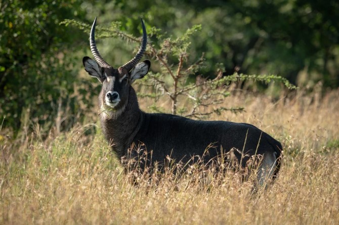 Screenshot 2026 04 08 145658 1