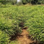 WhatsApp Image 2026 04 07 at 9.34.58 PM