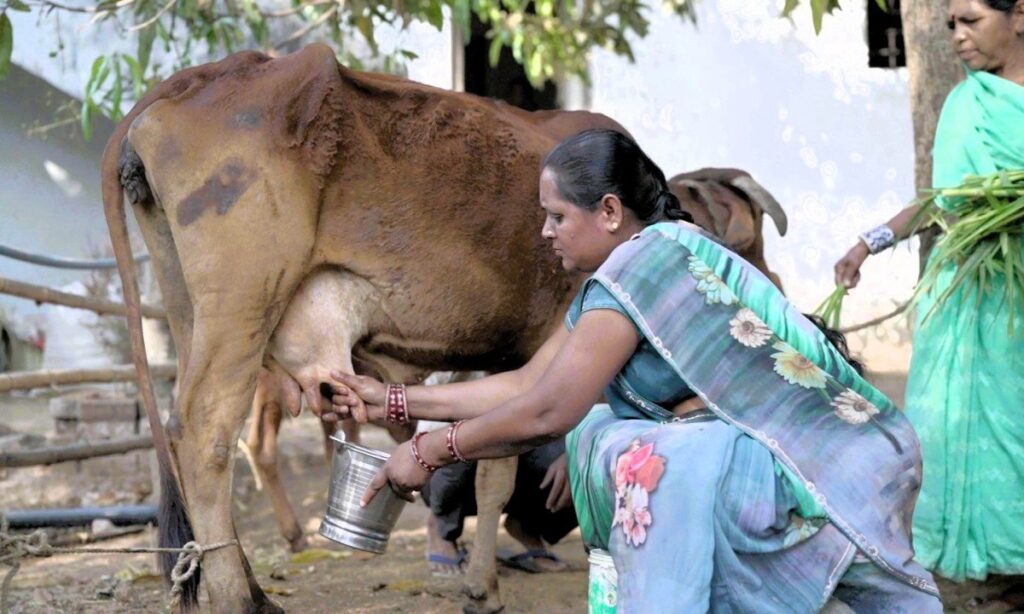 WhatsApp Image 2026 04 08 at 7.10.47 PM