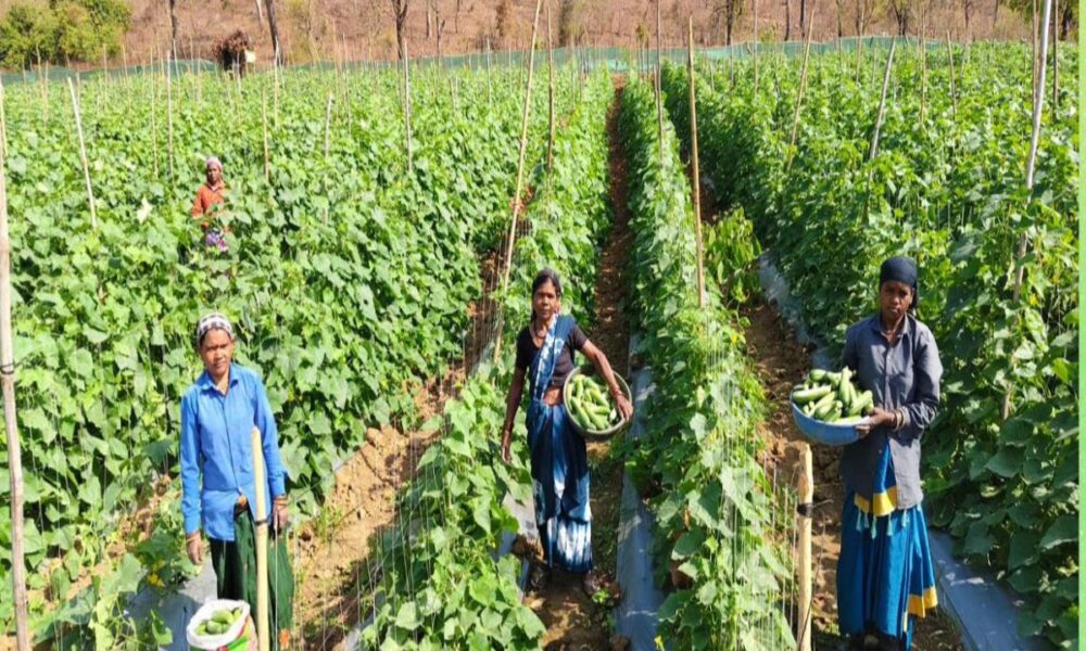 WhatsApp Image 2026 04 10 at 4.23.58 PM