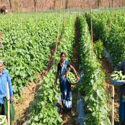 WhatsApp Image 2026 04 10 at 4.23.58 PM