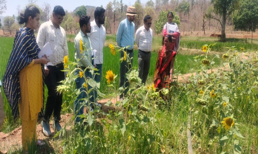 WhatsApp Image 2026 04 12 at 7.56.10 PM 1