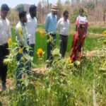 WhatsApp Image 2026 04 12 at 7.56.10 PM 1