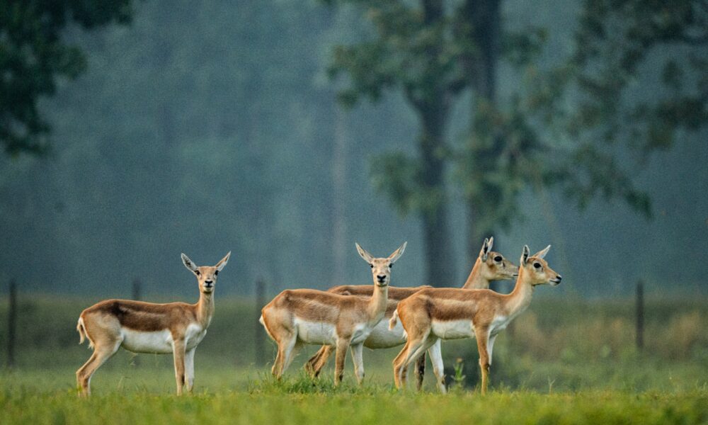 WhatsApp Image 2026 04 26 at 6.41.41 PM