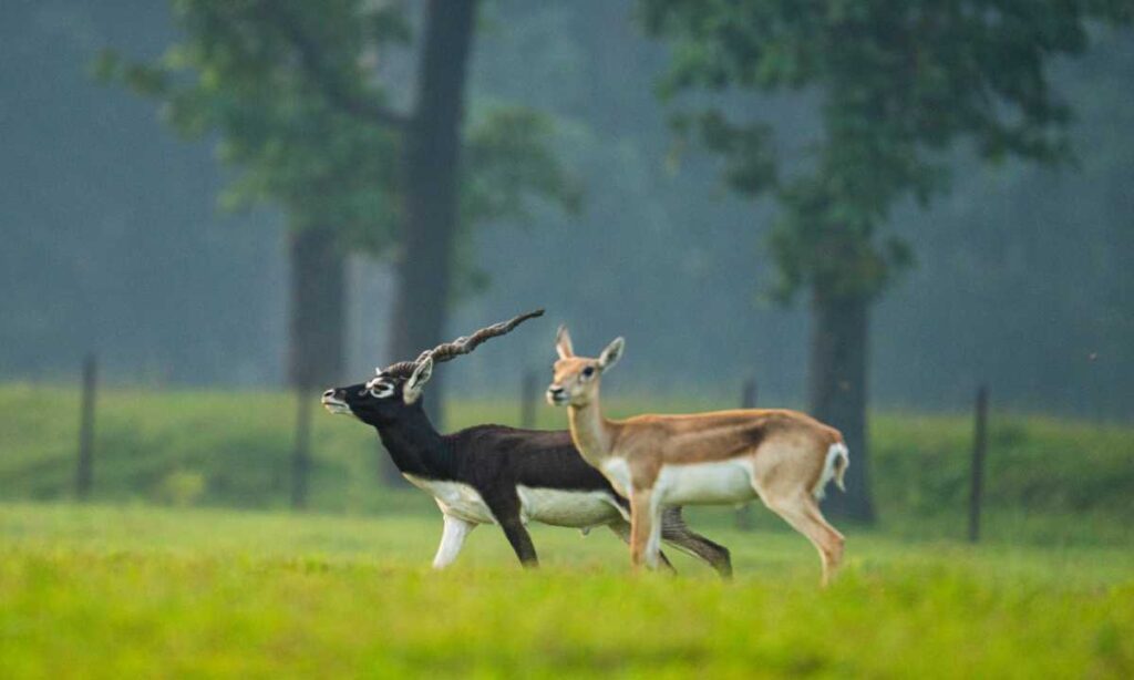 WhatsApp Image 2026 04 26 at 6.41.44 PM