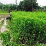 WhatsApp Image 2026 04 29 at 5.07.17 PM