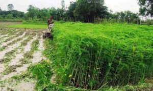 WhatsApp Image 2026 04 29 at 5.07.17 PM