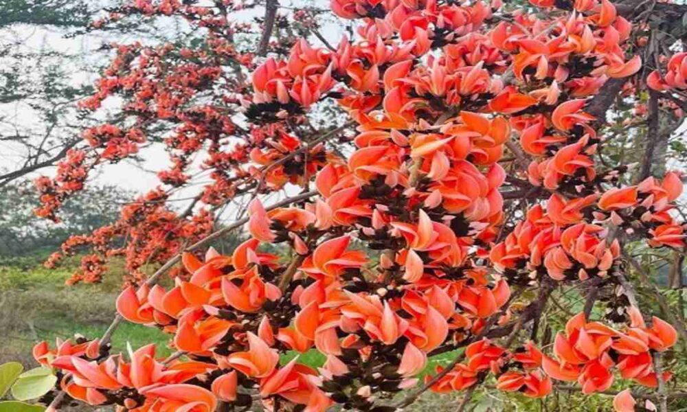 WhatsApp Image 2026 04 30 at 1.50.22 PM