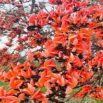 WhatsApp Image 2026 04 30 at 1.50.22 PM