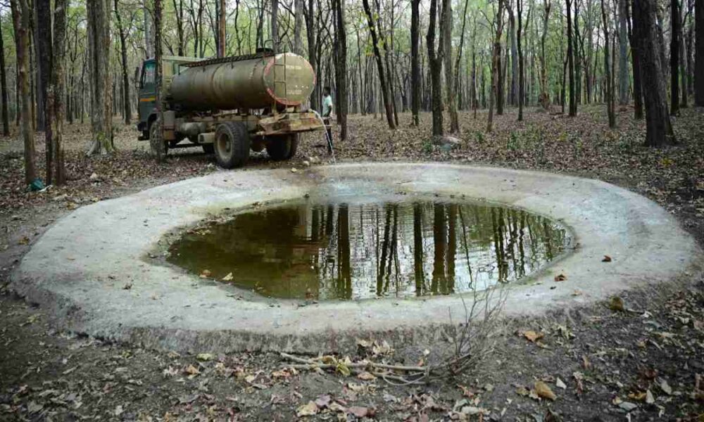 WhatsApp Image 2026 04 30 at 5.33.46 PM