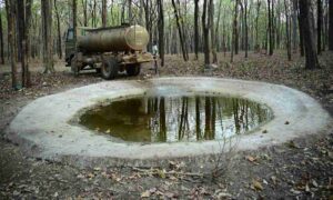 WhatsApp Image 2026 04 30 at 5.33.46 PM