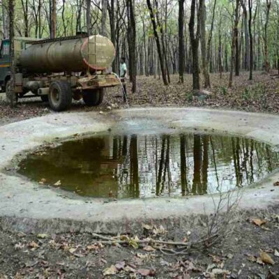 WhatsApp Image 2026 04 30 at 5.33.46 PM