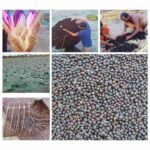 white border export 2026 04 29T06 56 48 1777384636 7e623b88b5e94f63a4e7 1