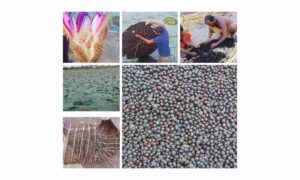 white border export 2026 04 29T06 56 48 1777384636 7e623b88b5e94f63a4e7 1