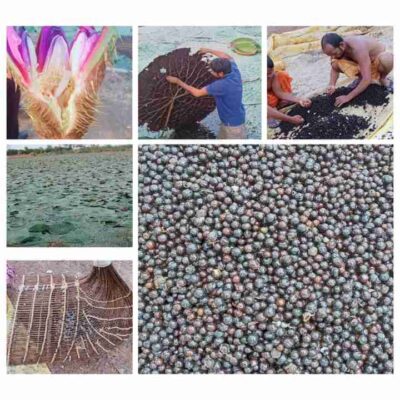 white border export 2026 04 29T06 56 48 1777384636 7e623b88b5e94f63a4e7 1