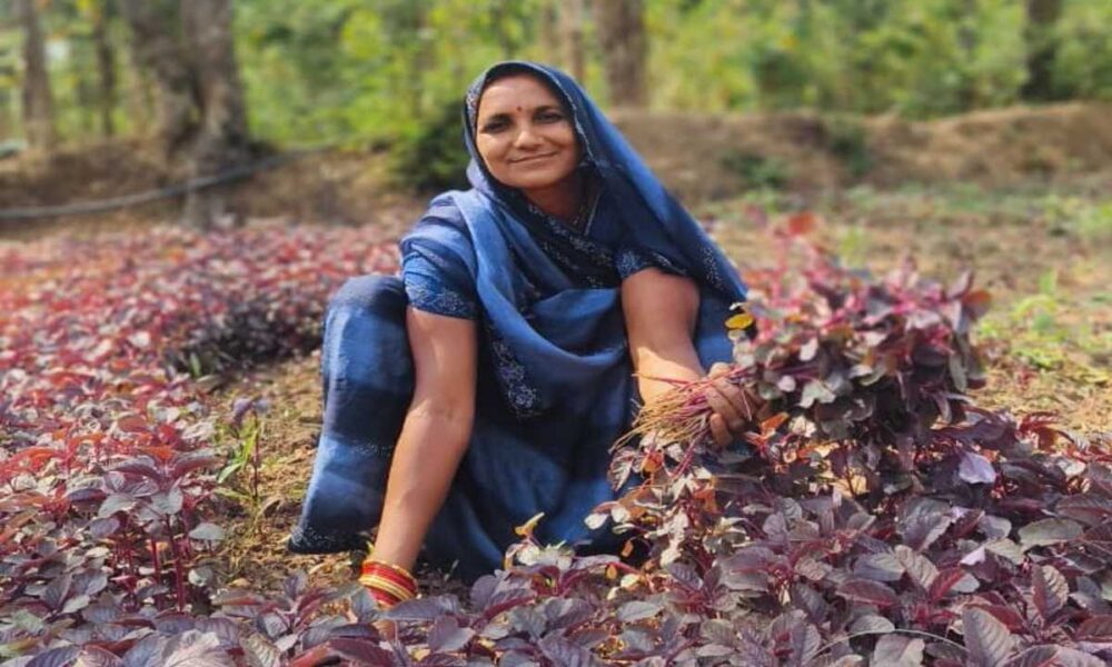 Lakhpati Didi 1