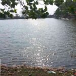 WhatsApp Image 2026 05 12 at 1.15.01 PM