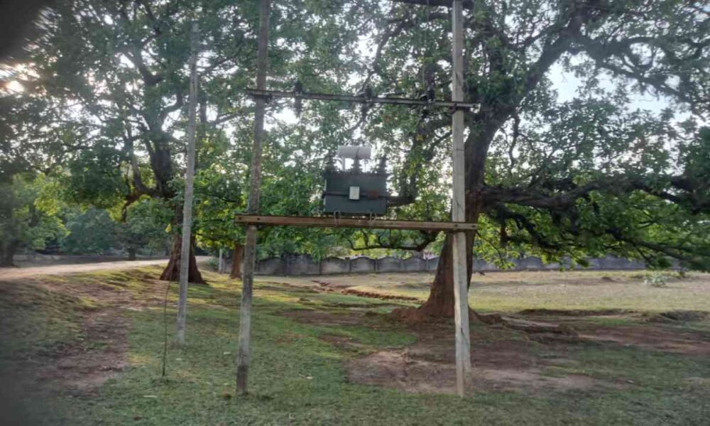 cm saiii