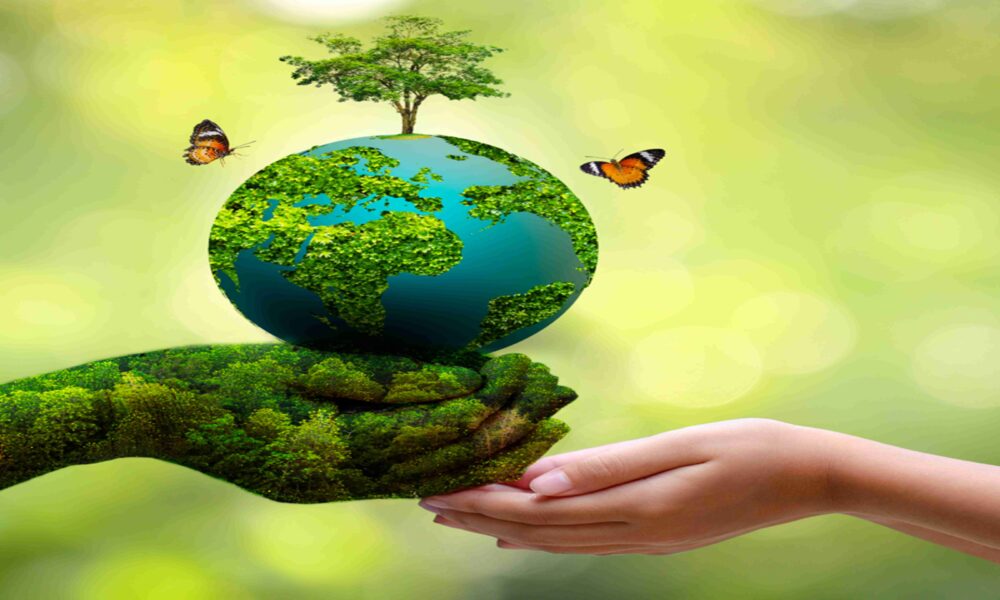 world environment