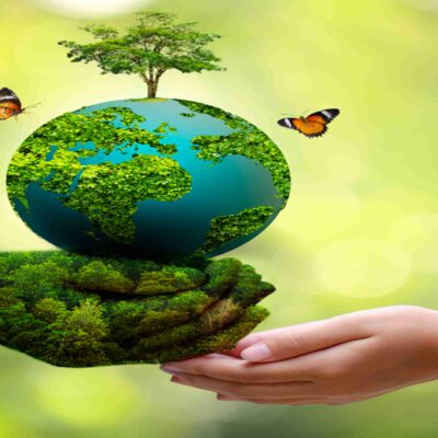 world environment