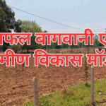 आयरन अऊ विटामिन बी 1