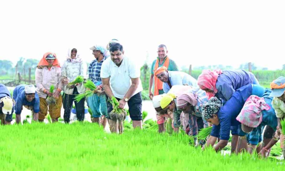 Education Minister Gajendra Yadav 1