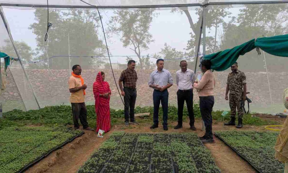 Nursery Entrepreneur 1