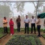 Nursery Entrepreneur 1