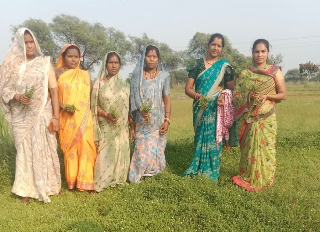 विशेष लेख :धमतरी मॉडल बना देश के लिए प्रेरणा 3 WhatsApp Image 2026 07 20 at 1.35.46 PM