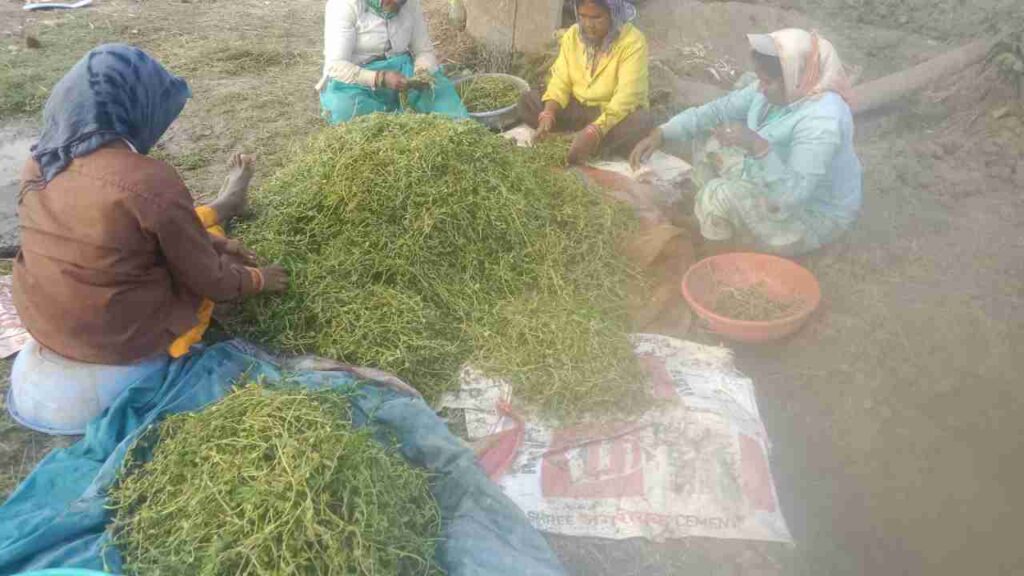 विशेष लेख :धमतरी मॉडल बना देश के लिए प्रेरणा 2 WhatsApp Image 2026 07 20 at 1.35.50 PM