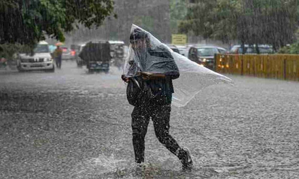 barish 2 1 1