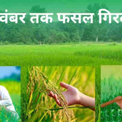 चक्रवात अर्नब से प्रभावित किसानों को मिलेगा मुआवजा 2
